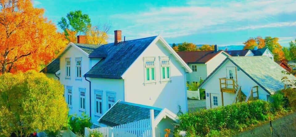 Bo I Historisk Bygning, Kort Vei Til Sentrum Trondheim Exterior foto
